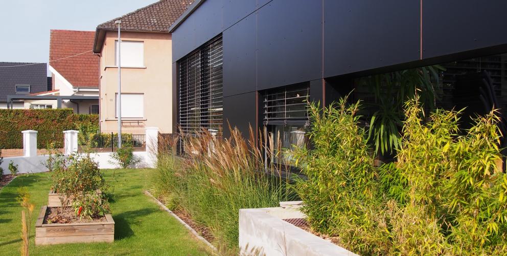 Projet MBVB - Vue sur l'extension